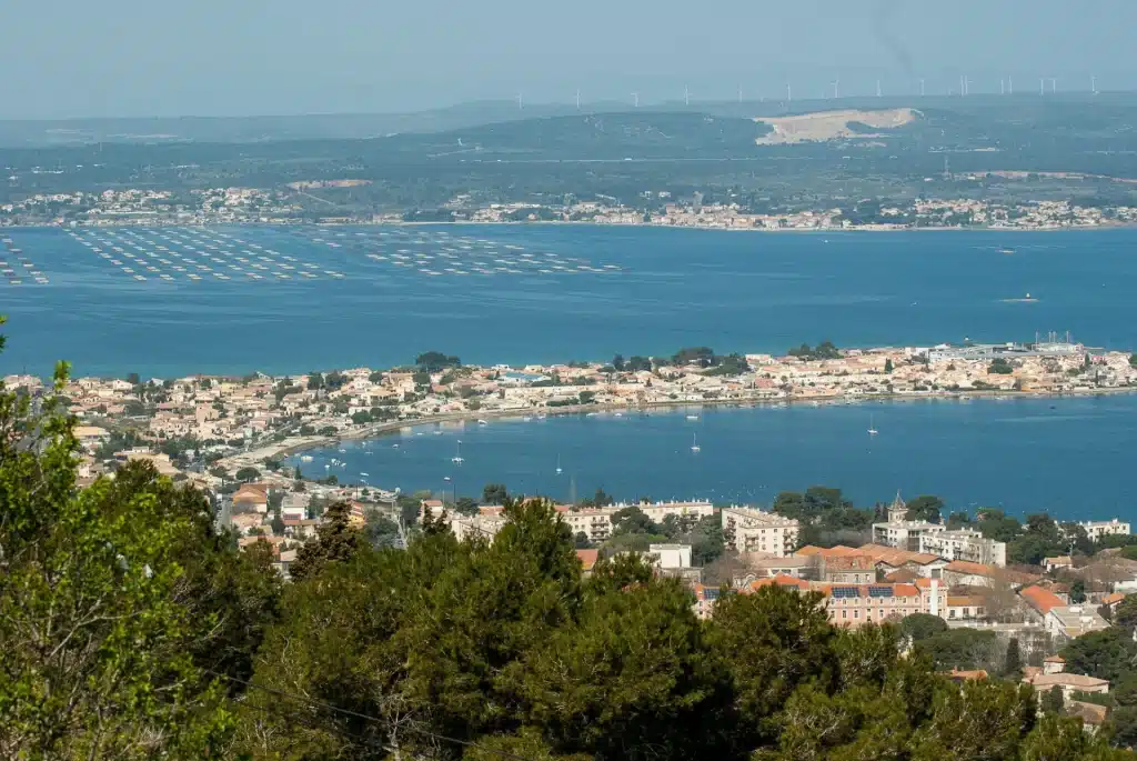 sete2