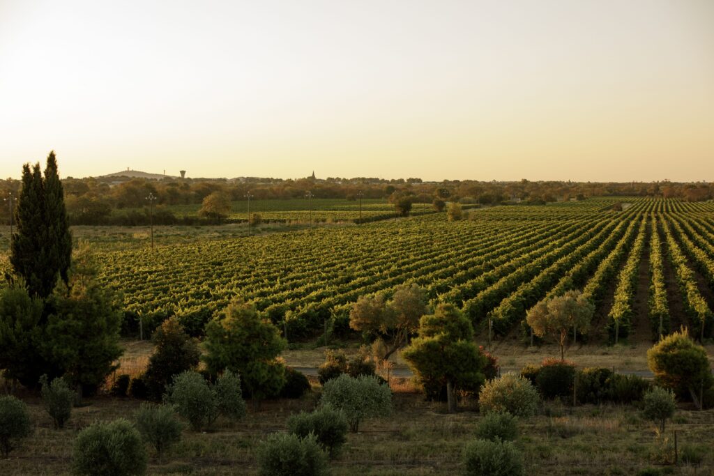 Domaine Preignes le Vieux 6 preignes 349